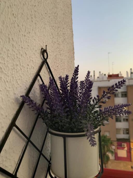 Anfitriones De Glamour - Albor De Sevilla Montequinto Ngoại thất bức ảnh